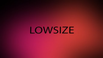 lowsize